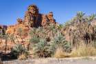 Saudi Arabia, Tabuk, Prince Mohammed bin Salman Natural Reserve. Wadi Al Disah. Art Print